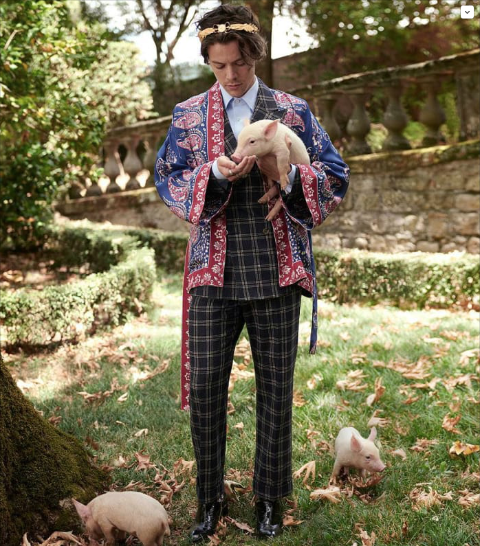 Harry Styles pig photoshoot Gucci